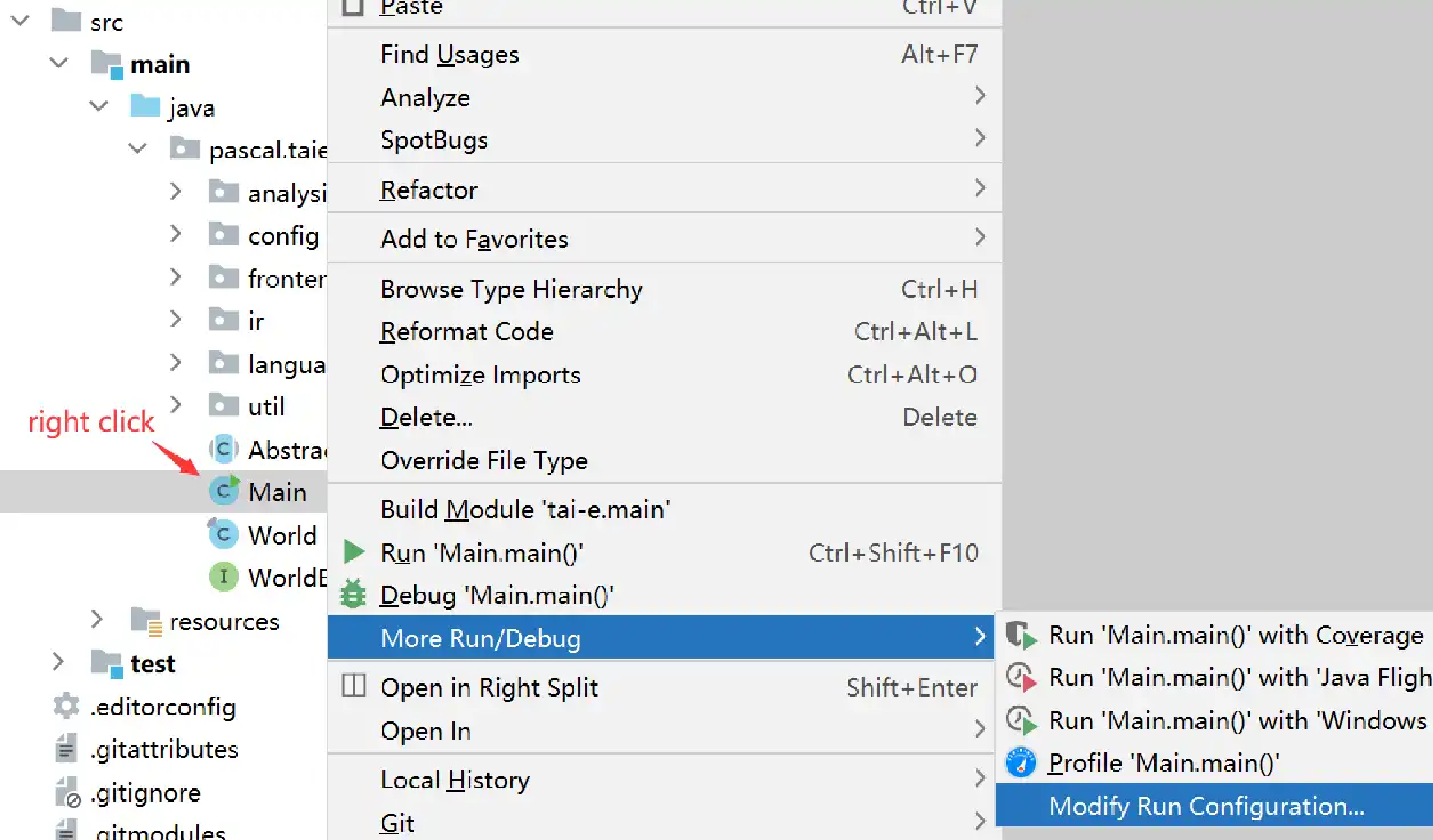 setup in intellij idea 8